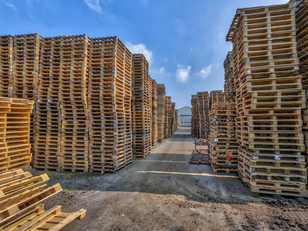 Stacks of used timber pallets held in the yard for sorting, grading and recovery